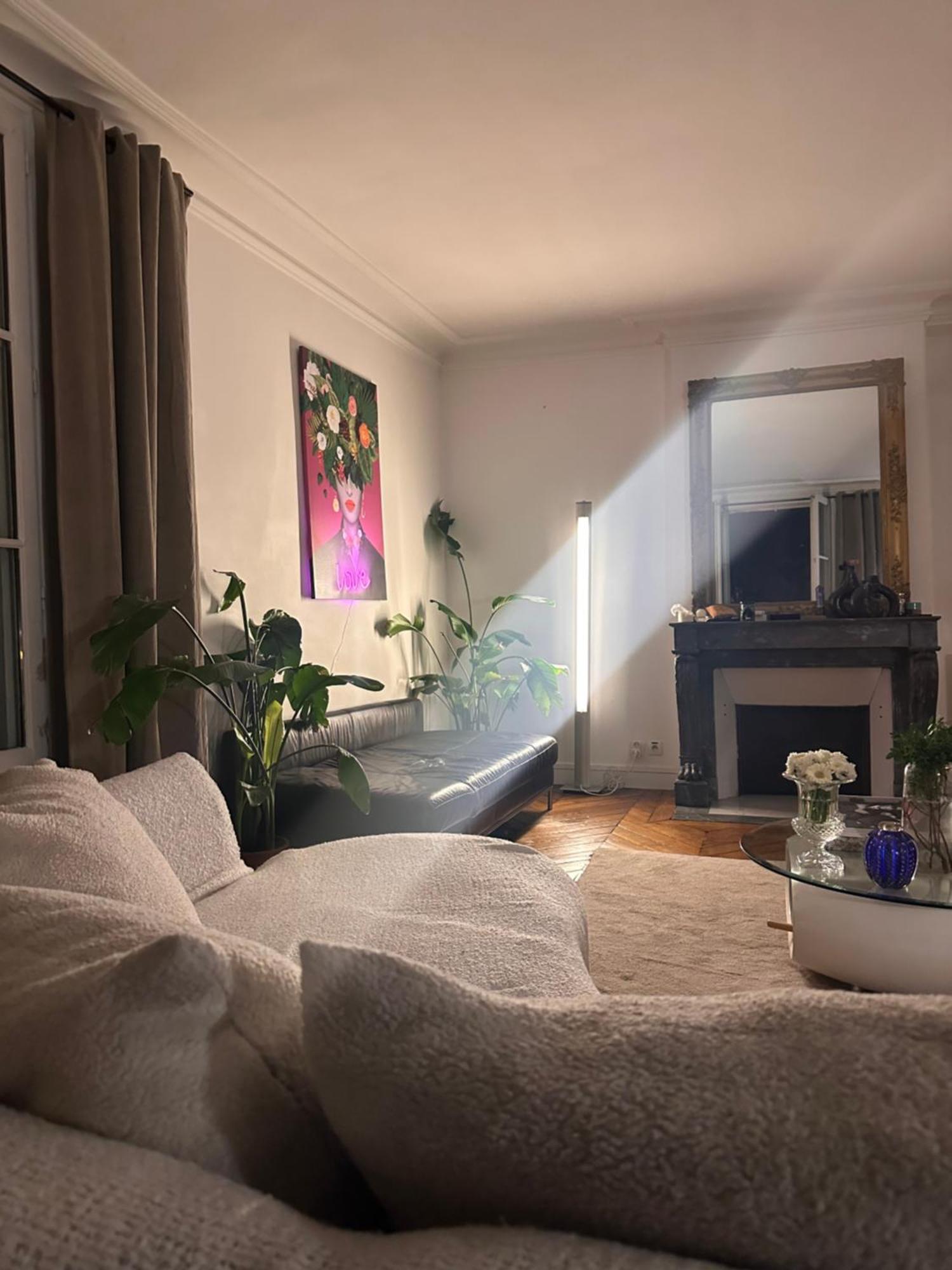 Elegant Artistic Flat On The Seine River Paris